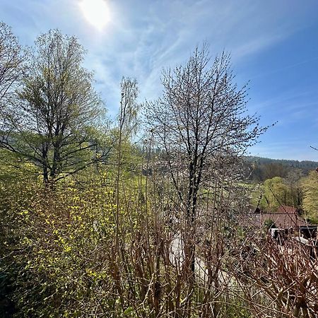 Natur Pur - Waldurlaub Im Tiny House Ronshausen Buitenkant foto