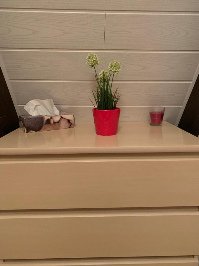 Natur Pur - Waldurlaub Im Tiny House Ronshausen Buitenkant foto