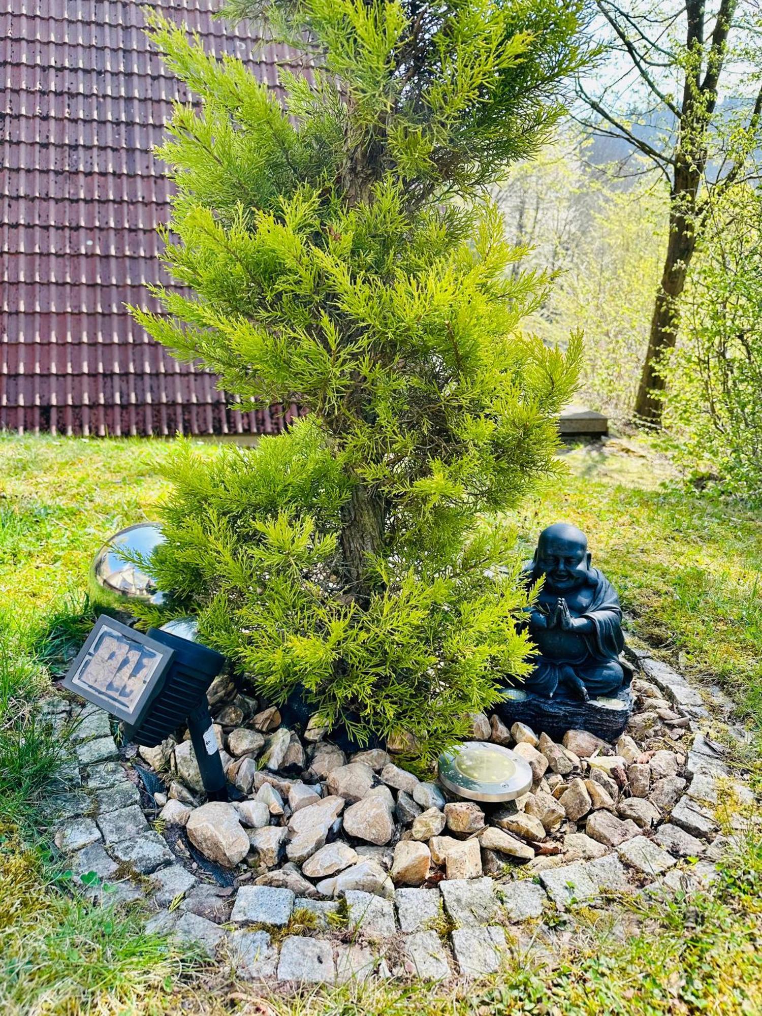 Natur Pur - Waldurlaub Im Tiny House Ronshausen Buitenkant foto