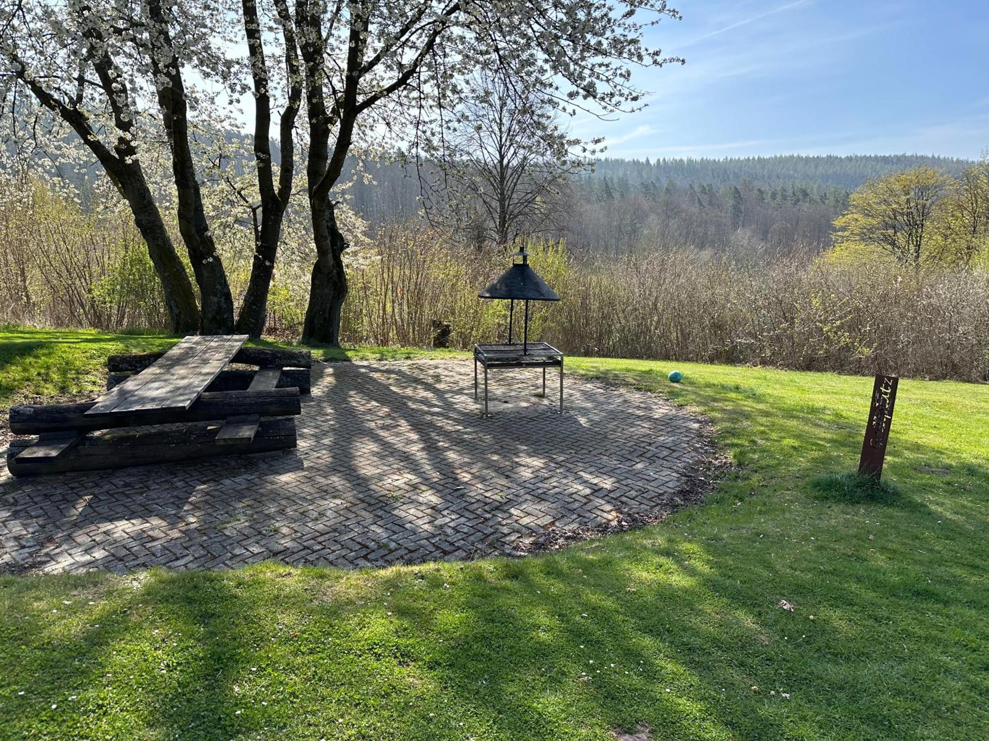 Natur Pur - Waldurlaub Im Tiny House Ronshausen Buitenkant foto