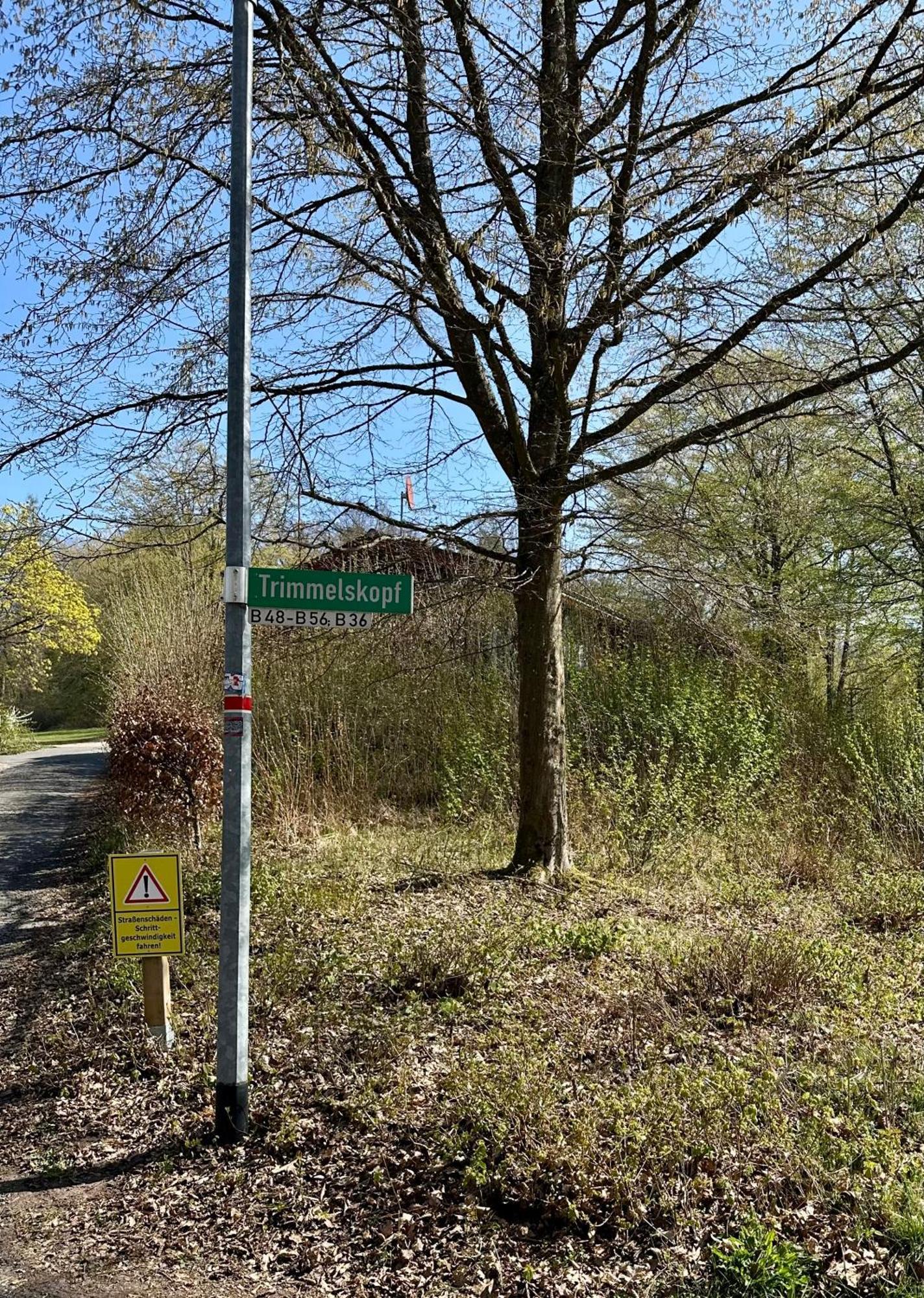Natur Pur - Waldurlaub Im Tiny House Ronshausen Buitenkant foto