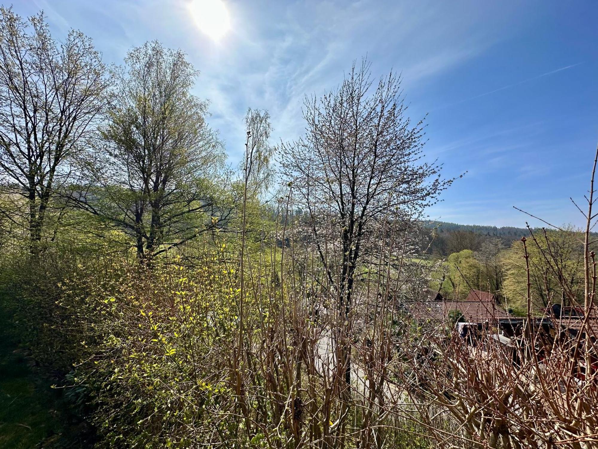 Natur Pur - Waldurlaub Im Tiny House Ronshausen Buitenkant foto